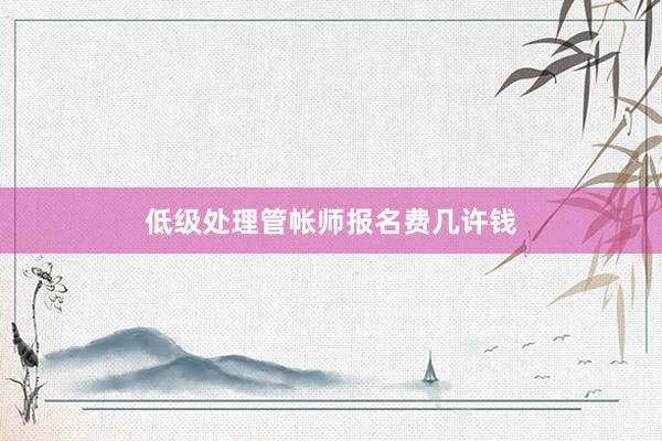 低级处理管帐师报名费几许钱